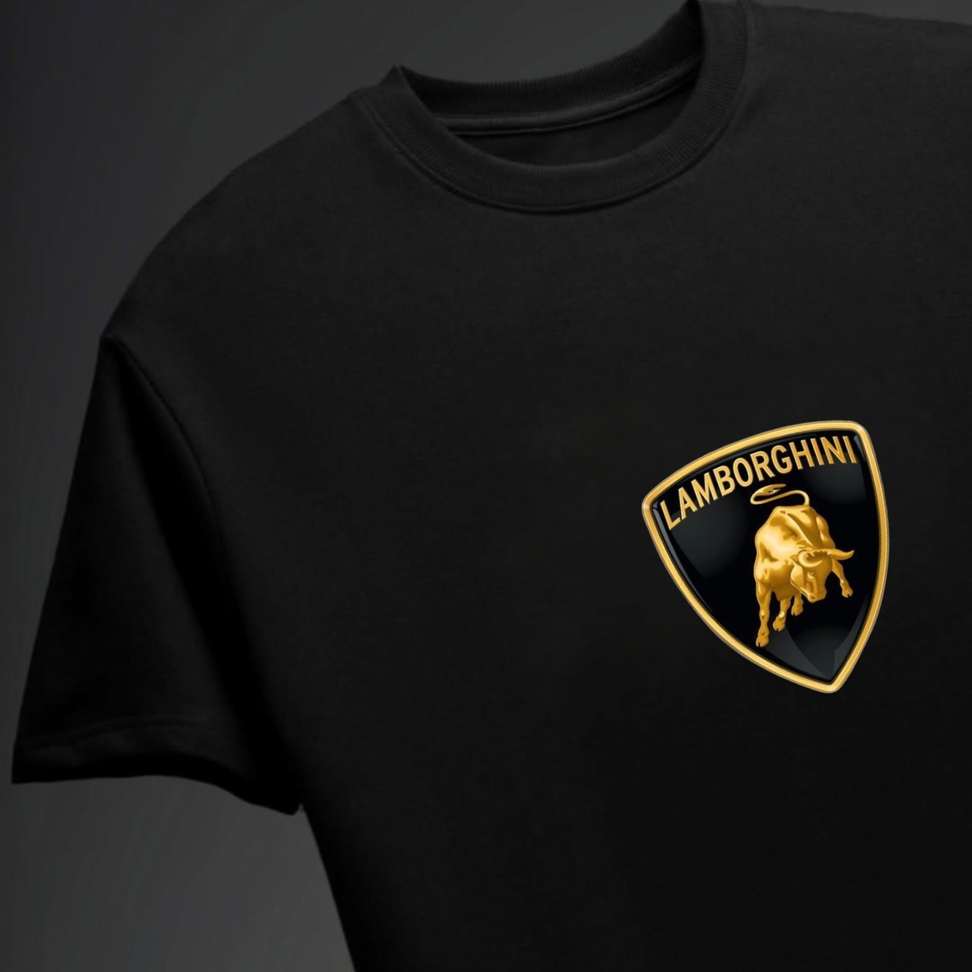Men's Lamborghini printed Oversized Tshirt